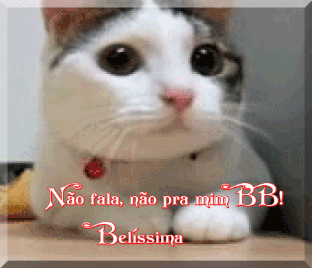 naofala.gif