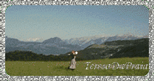 novicaarmada.gif