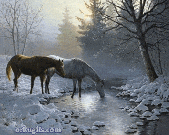 Sol-de-inverno_1055.gif