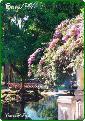 belem5.gif
