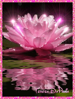 florrosa3.gif