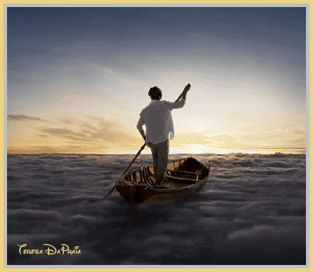 navegador.gif