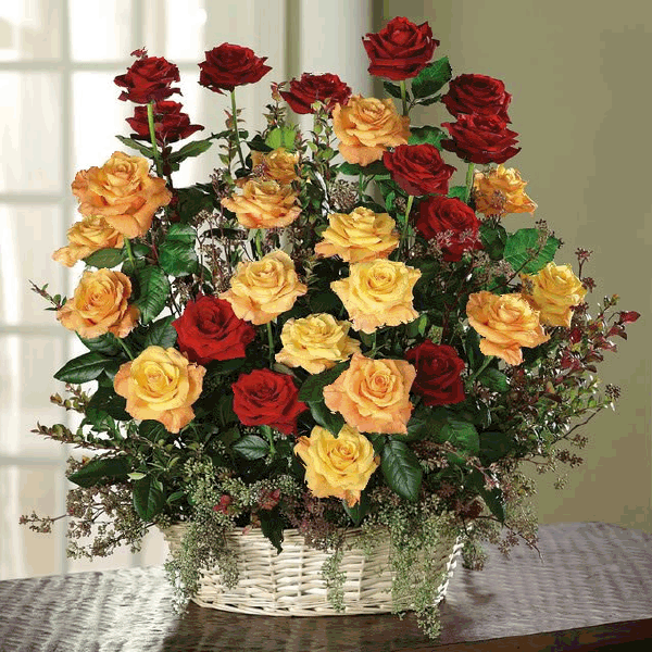 rosas_rosas.gif
