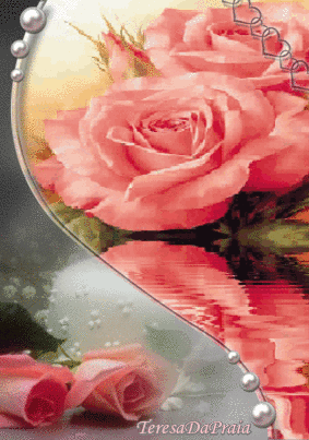 rosrosa.gif
