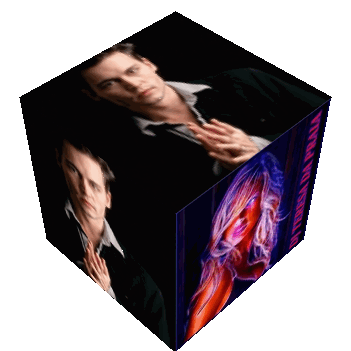 cubolipeteresa.gif