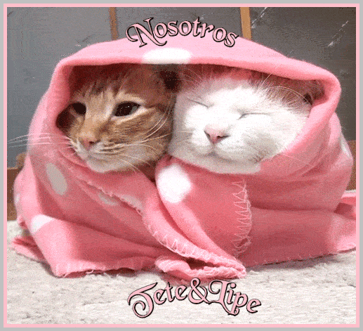 nosotros.gif