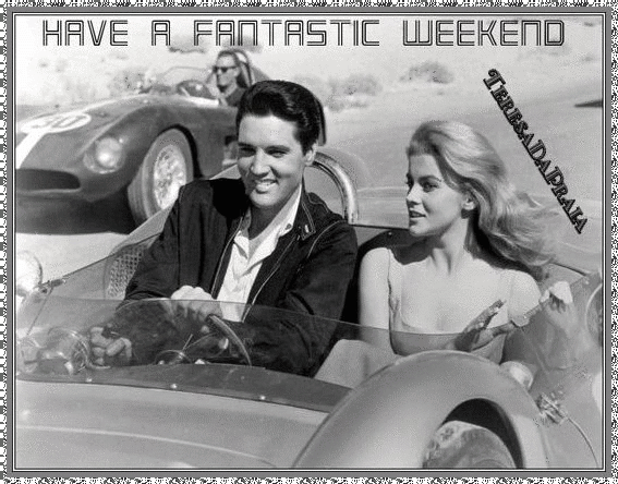 elviscarro1.gif