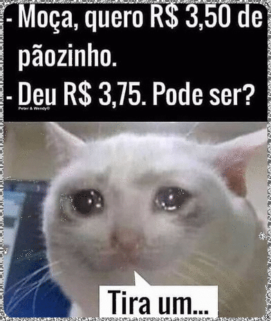 gatinhopedinte.gif
