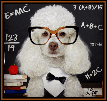 professor1.gif